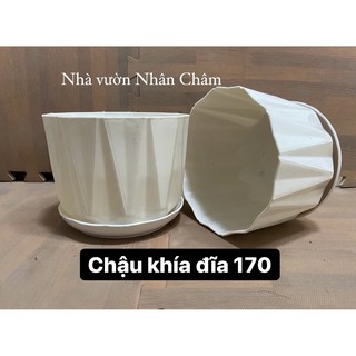 Chậu trồng cây để bàn khía đĩa 170 tròn trắng