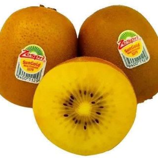 Cây giống kiwi ruột vàng