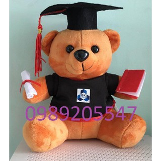 Gấu bông tốt nghiệp 20cm lông mịn- màu nâu  giá rẻ kho TPHCM