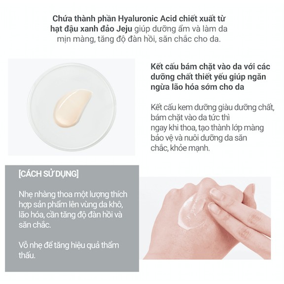 Kem dưỡng giàu dưỡng chất ngăn ngừa lão hóa sớm từ hoa lan Innisfree Jeju Orchid Enriched Cream 50ml