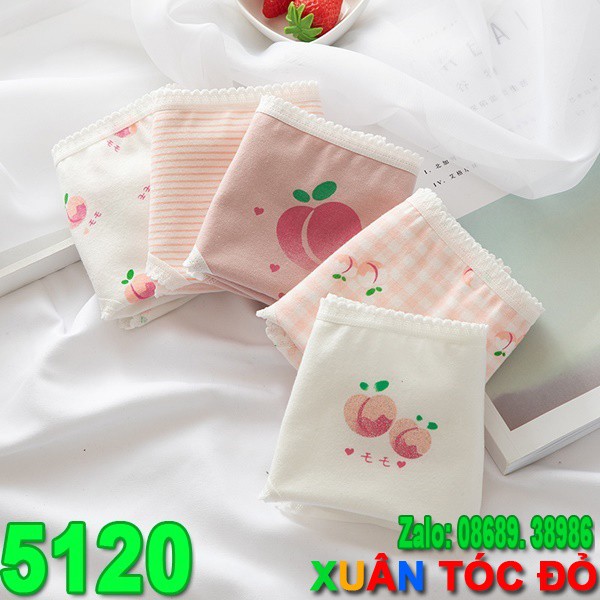  SỈ ZALO RẺ HƠN NHIỀU_ Quần Lót 5 Kiểu Đào Hồng Cực Mịn Cực Cute 5120