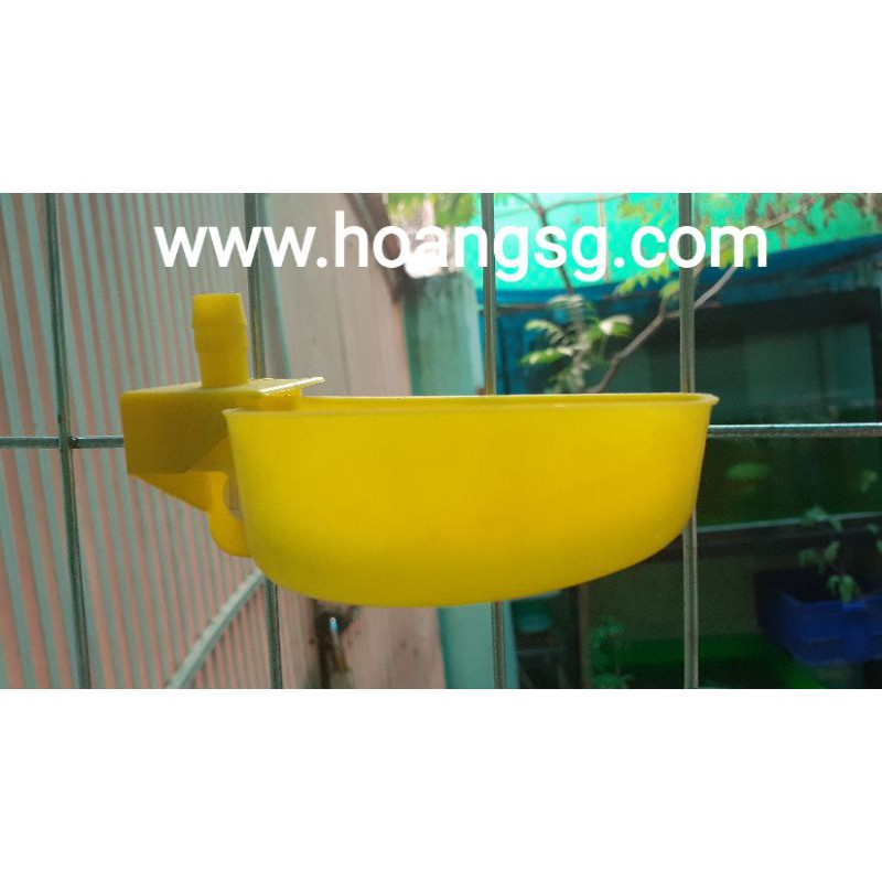 10 cái giá 70k máng uống nước tự động cho cút,chim