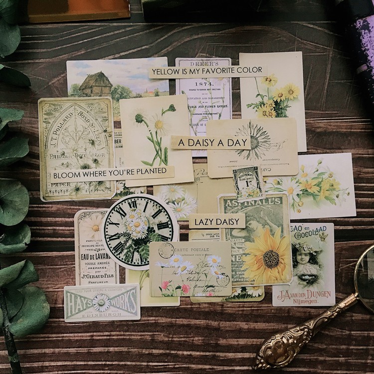 Sticker hoa cúc trắng retro vintage