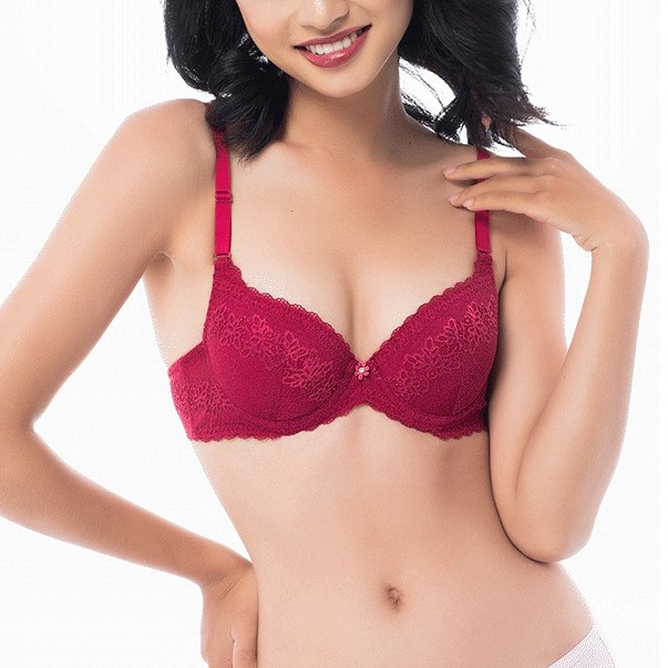 ÁO LÓT NGỰC CAO CẤP ANNIE 8071, MOUSE DÀY PHỐI REN NÂNG NGỰC