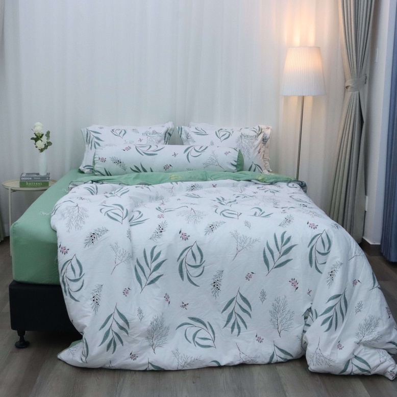 Bộ ga giường Cotton Everon Lite ELCP (4 món - không bao gồm chăn/mền)