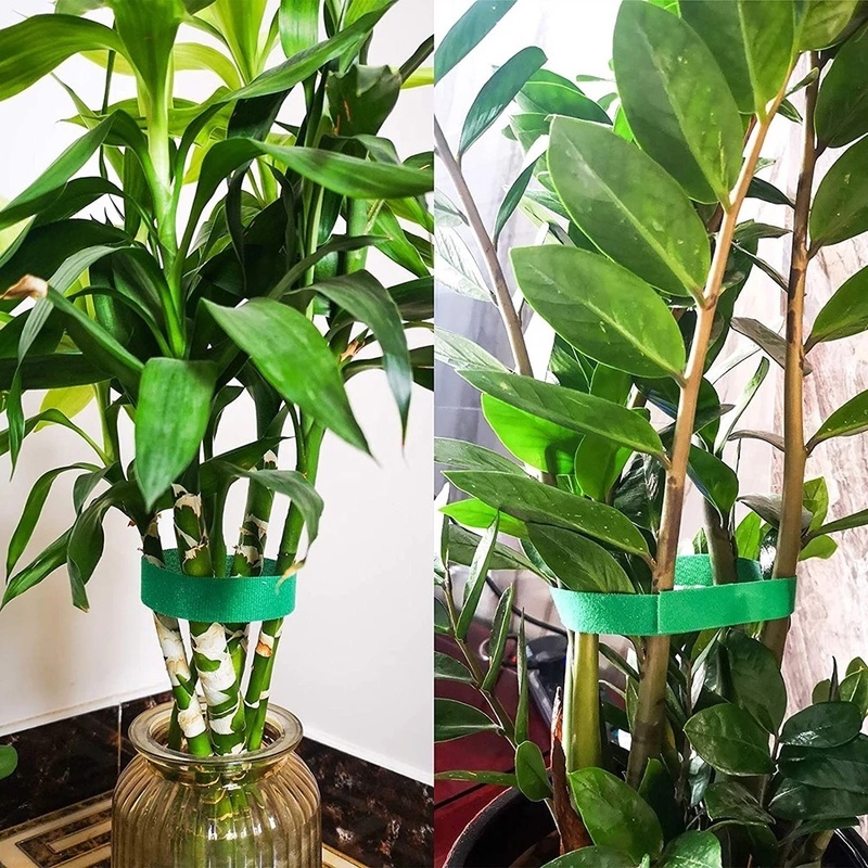 Cuộn Băng Keo Nylon Dùng Cố Định Cây Trồng Tiện Dụng