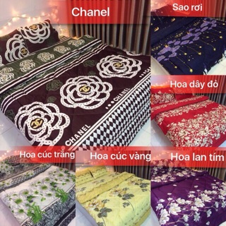 Bộ chăn phao ga gối poly (5 món)