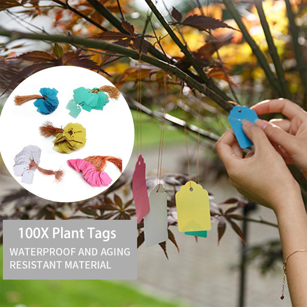 Set 100 Thẻ Đánh Dấu Cây Trồng Tiện Dụng