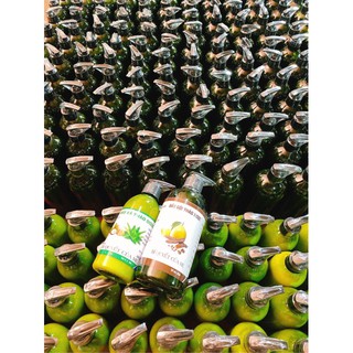 Kem xả nha đam dầu dừa