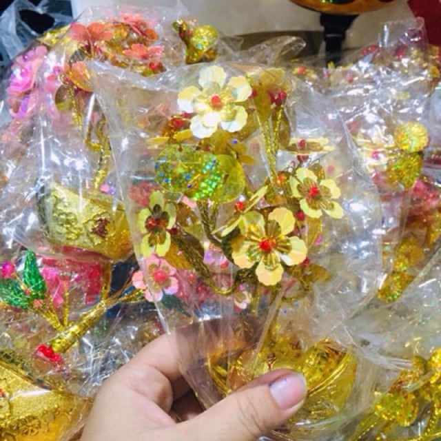 Sỉ chậu giá rẻ