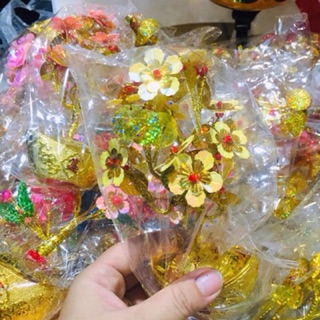 Sỉ chậu giá rẻ