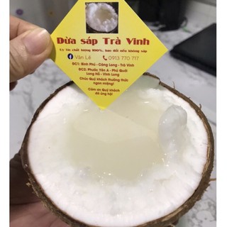 Dừa sáp Trà Vinh đặc ruột đặc biệt trái to