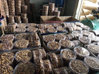 Hạt điều rang muối Bình Phước