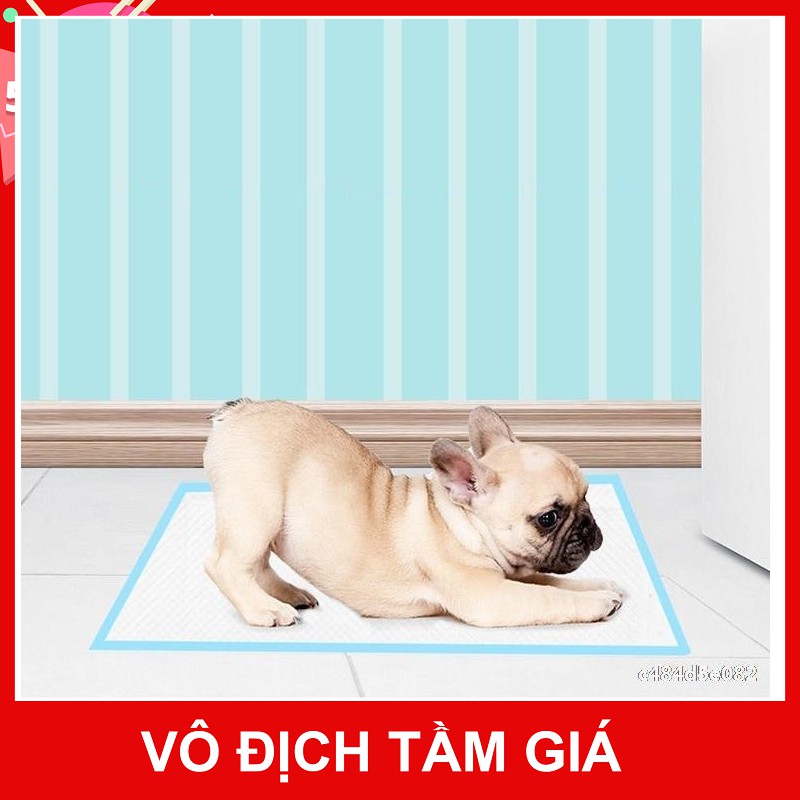 TÃ LÓT CHO CHÓ MÈO -TÃ LÓT CHUỒNG SIÊU THẤM CHO CHÓ MÈO
