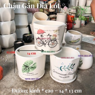 Chậu Sứ Trồng Cây Để Bàn- Chậu Sứ Có Đĩa Hứng Nước