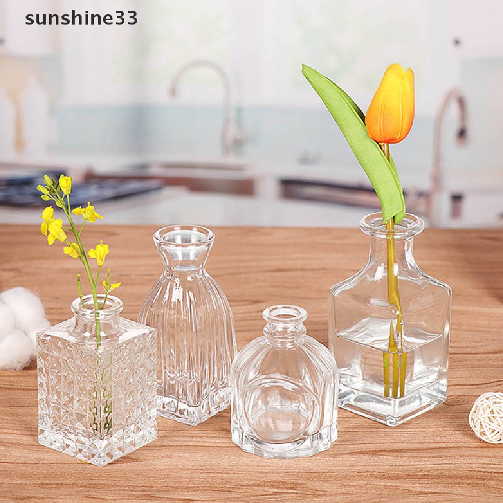 Chậu Cây Mini Để Bàn Thiết Kế Đơn Giản Sáng Tạo