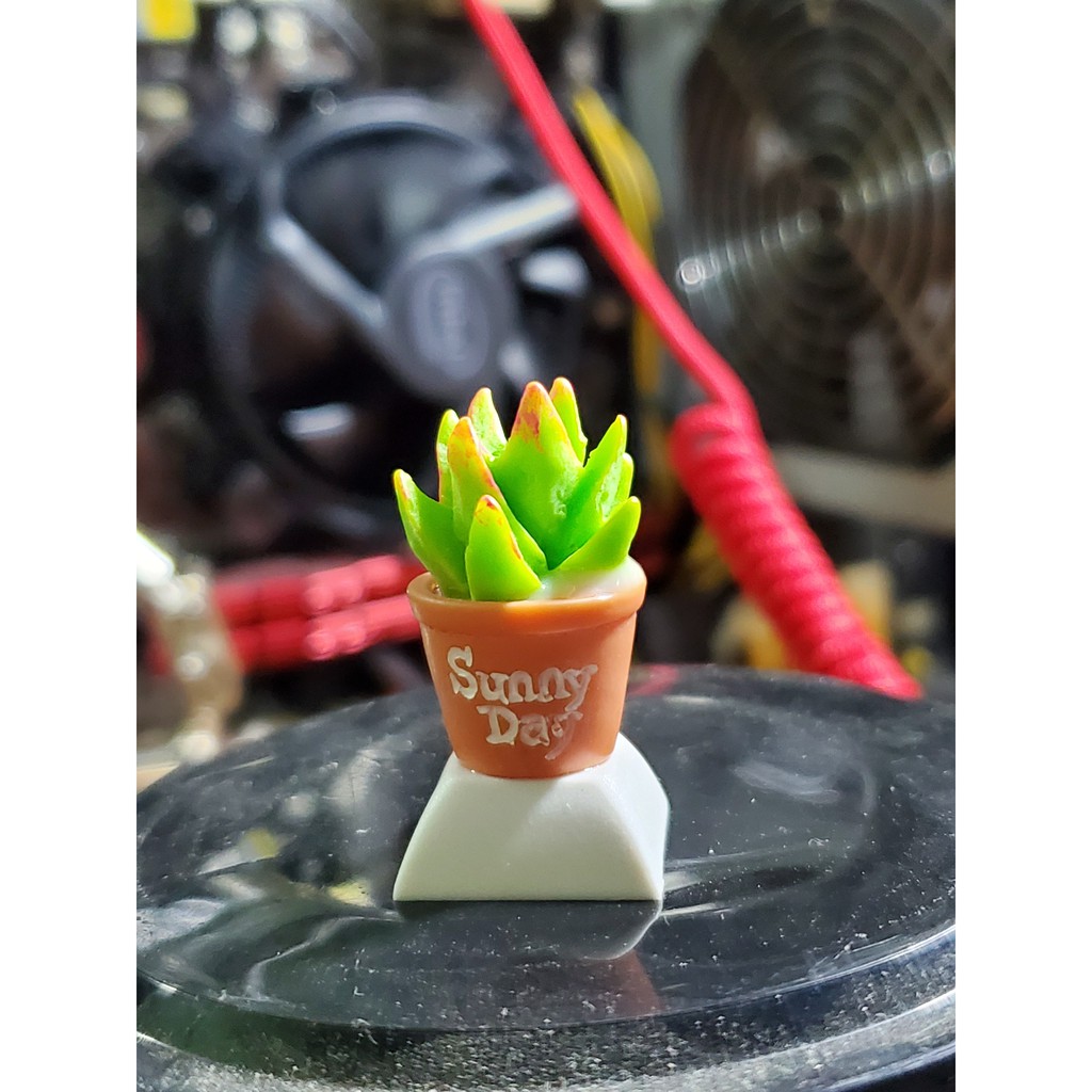 Keycap chậu hoa xương rồng, nút bấm bàn phím cơ hình cây xương rồng
