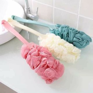 CỌ LƯNG BÔNG TẮM