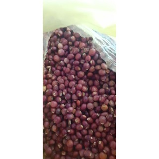 Hạt đậu săng (đậu chiều)