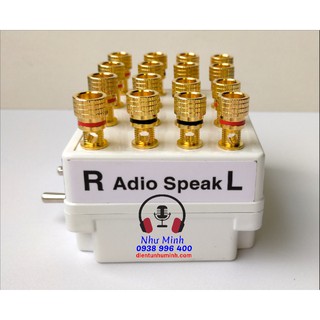 Bộ Chia - Chuyển Loa và Ampli(  2 công tắc)