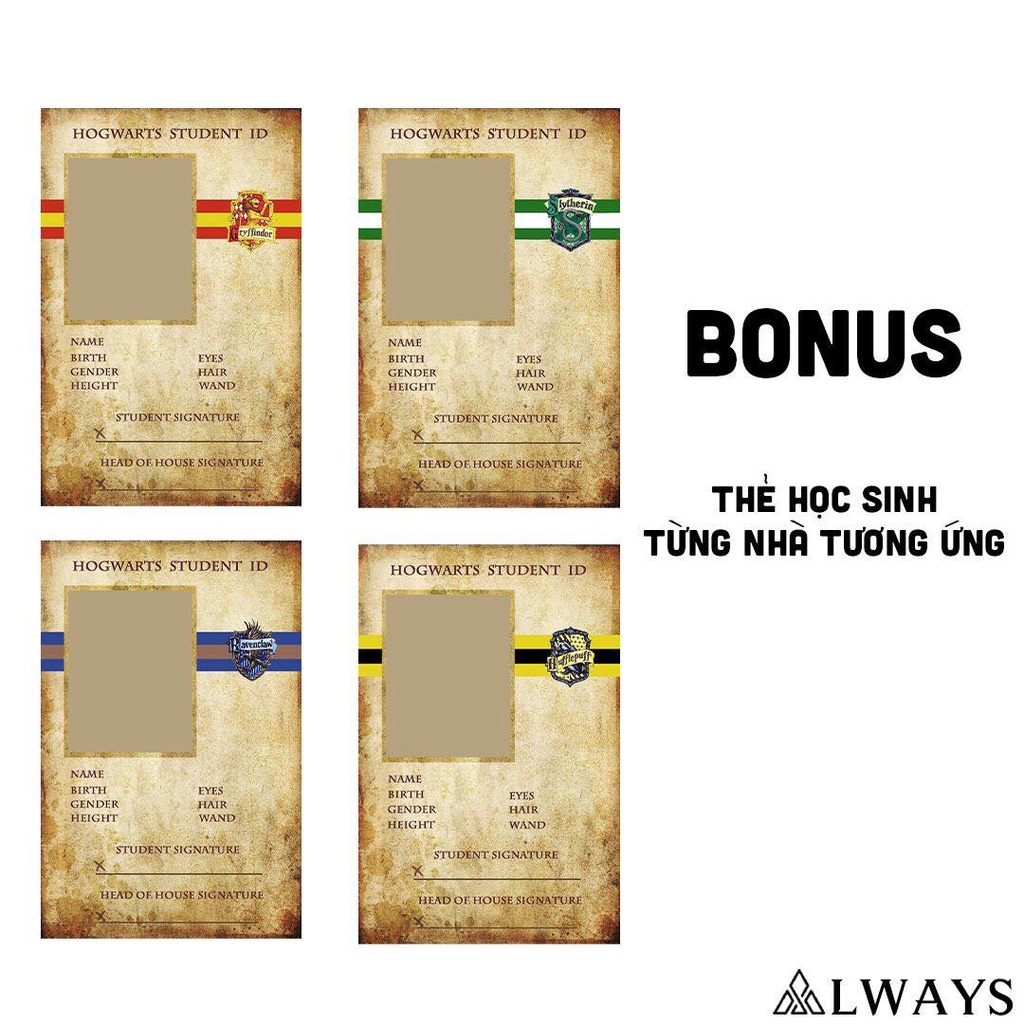 Bộ thư nhập học Hogwarts bản chuẩn Harry Potter - ALWAYS STORE