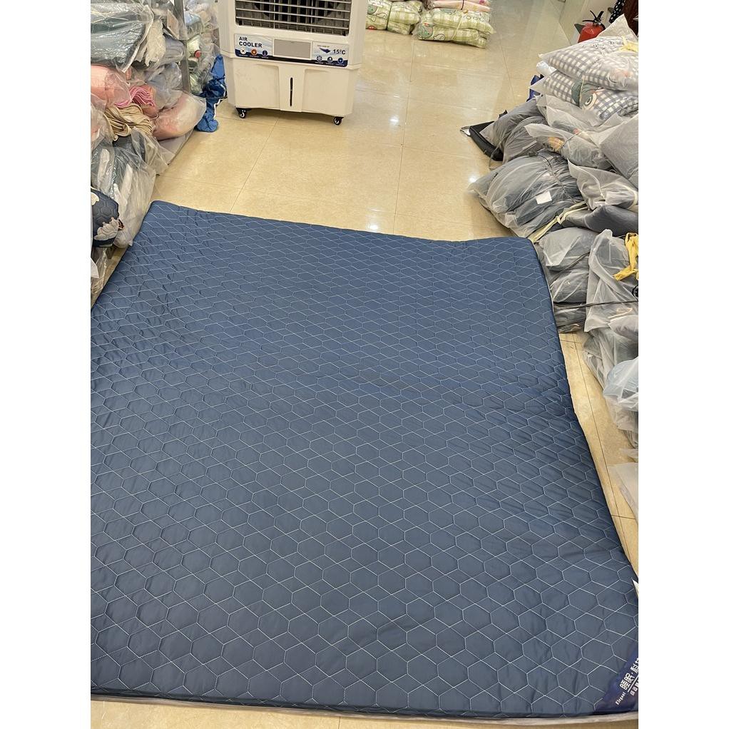 Đệm thảo dược hương Ngải cứu NATURAL nhập khẩu cao cấp