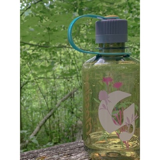 Bình nước Glossier Water Bottle