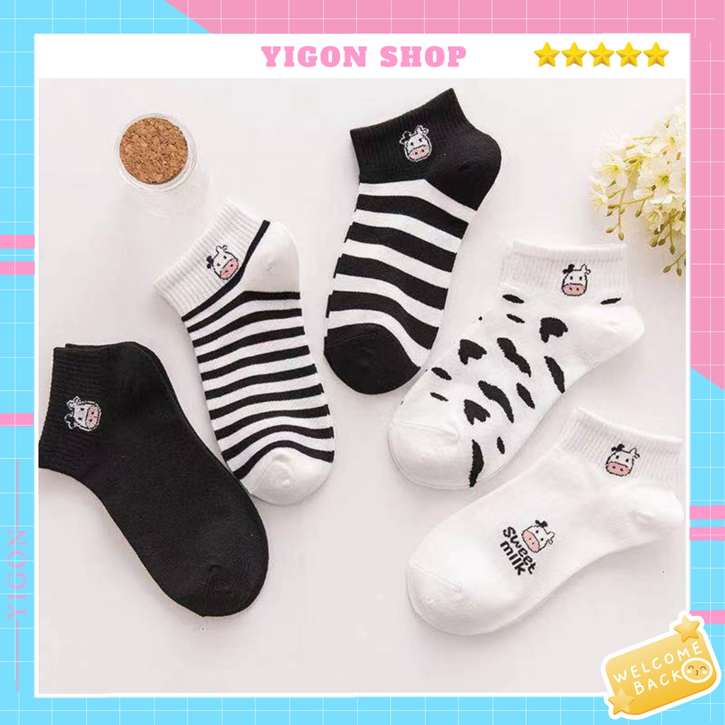 Tất Bò Sữa CUTE Phô Mai, Cộng Nghệ Chải Kỹ Cotton