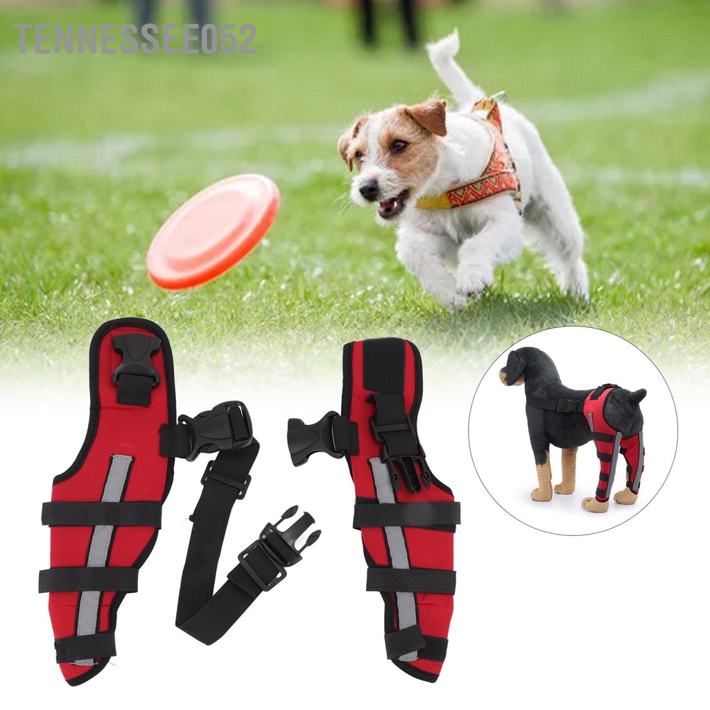 Tennessee052 Nẹp chân chó Đàn hồi an toàn chống va đập Tấm đệm đầu gối cho thú cưng với dải phản quang vật nuôi và