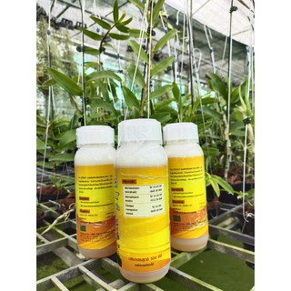 KU START B1 Kích Rễ, Kích Chồi