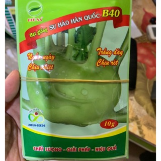 HẠT GIỐNG SU HÀO F1 B40 HÀN QUỐC