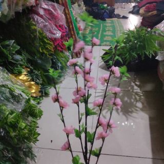 10 cành đào nụ