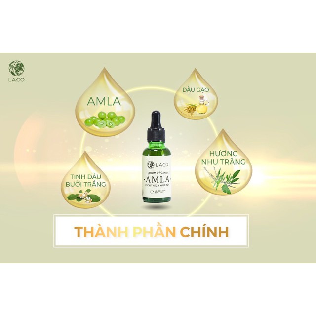 DẦU GỘI ĐẦU ORGANIC_AMLA_NGĂN RỤNG TÓC_300ml