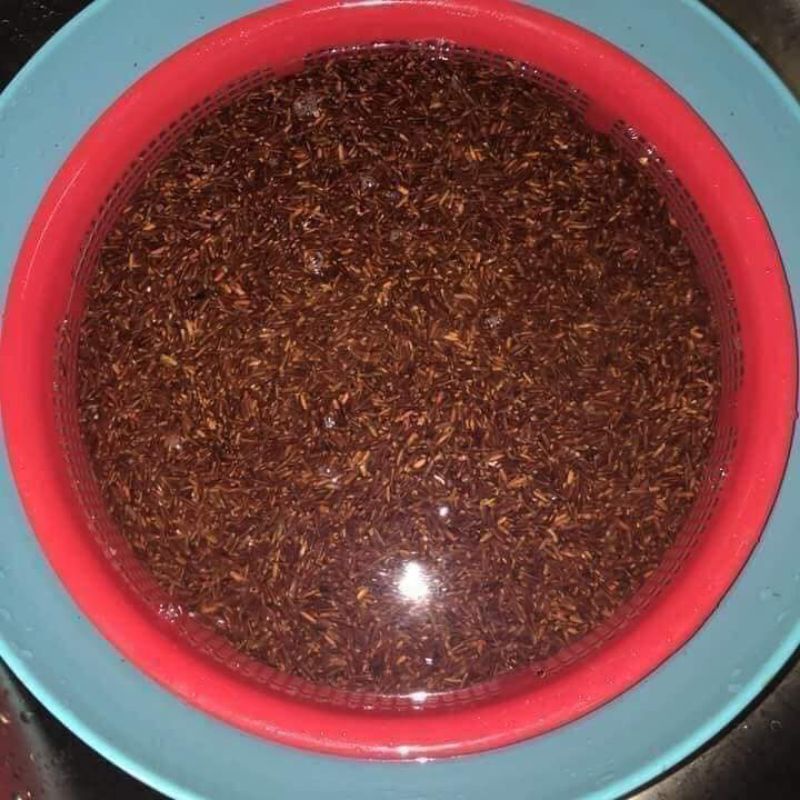 Trà gạo nứt, đỗ đen,mát gan, bổ máu