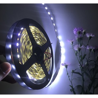 Led dây SMD5050, cuộn 5m 12Vdc (No Water Proof)