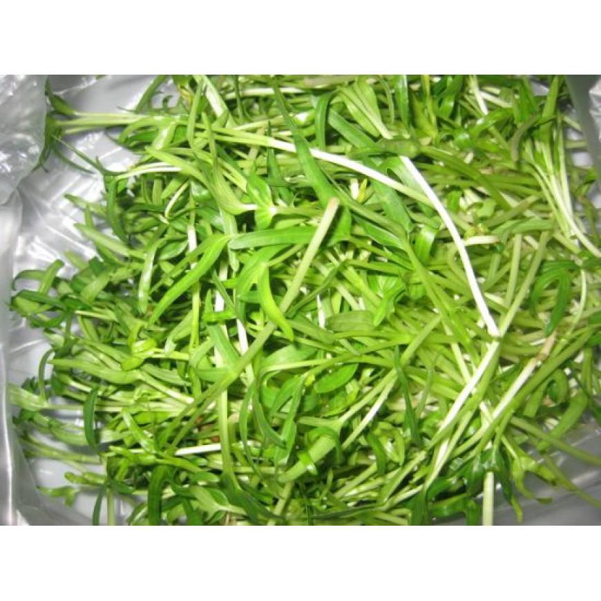 Hạt mầm rau muống 100gr