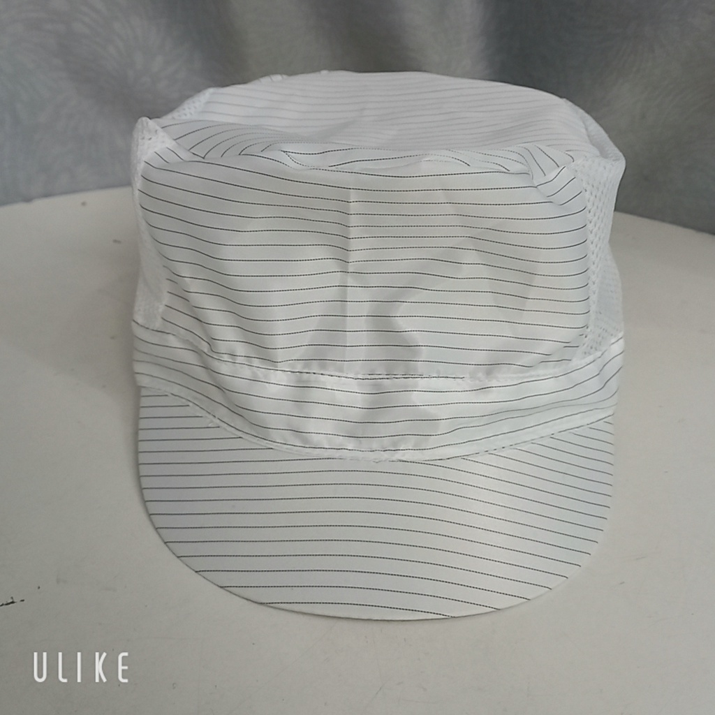 Nón lưới phòng sạch chống tĩnh điện TRẮNG-  XANH cao cấp cho công nhân