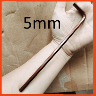 Lục giác 5mm, YTB chính hãng, Cty TM&XNK YTB Việt Nam