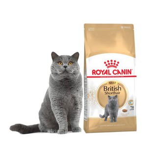 ROYAL CANIN BRITISH SHORTHAIR ADULT  Dành cho Mèo Anh lông ngắn ở độ tuổi trên 12 tháng