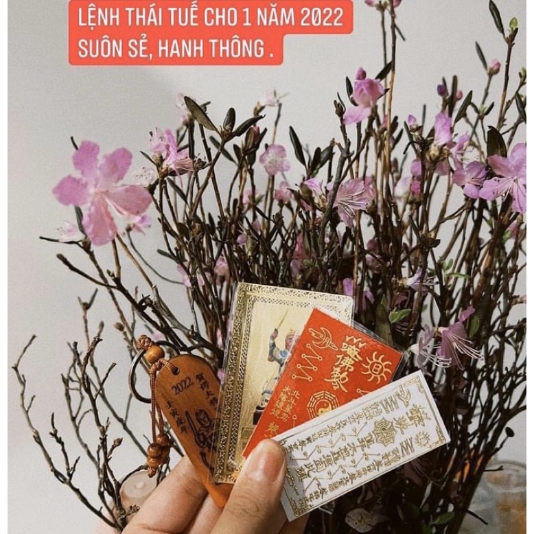 Combo Thái Tuế 2022 Dần Thân Tỵ Hợi