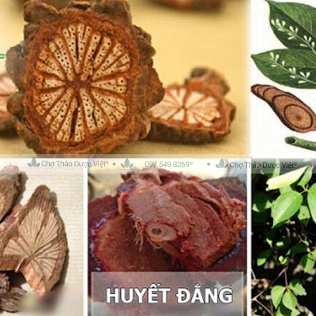 100g Kê Huyết Đằng (Khô,Đẹp)