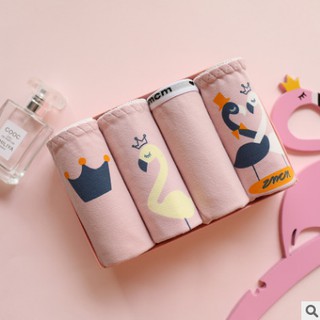 COMBO 4 QUẦN CHÍP