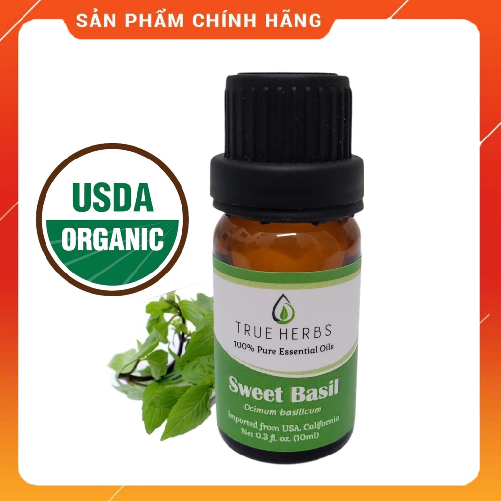 Tinh dầu Húng Quế (Sweet basil) - Tinh dầu thiên nhiên hữu cơ nguyên chất nhập khẩu Mỹ