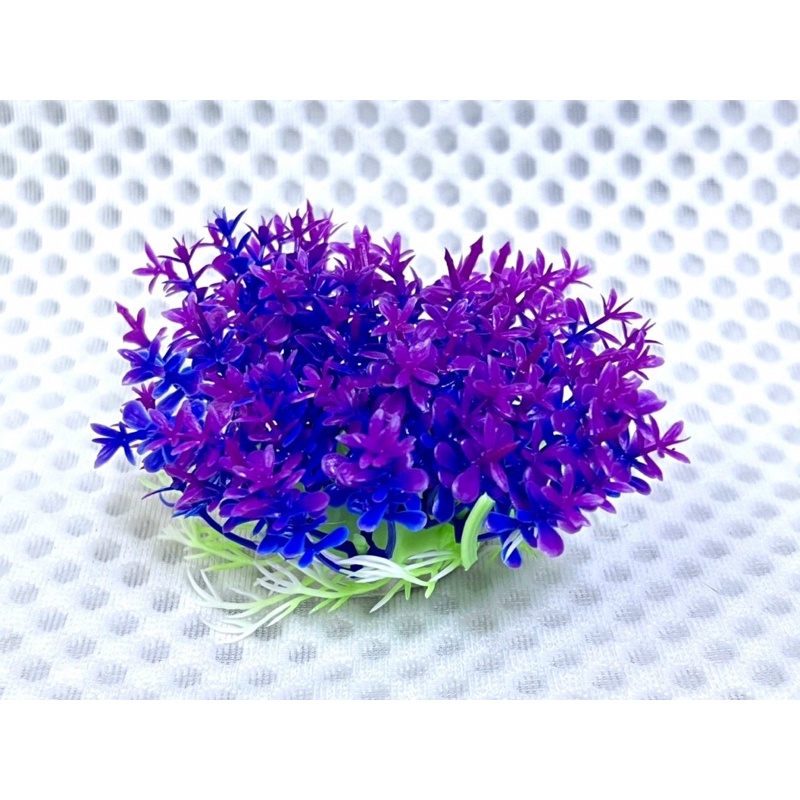 Cụm Rêu Trang Trí Hồ Cá Tép, Thuỷ Sinh