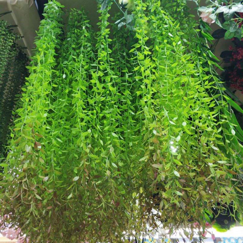 Rủ Lá Treo Trần Trang Trí Nhà Cửa_ lá giả dài 90cm