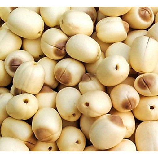 Hạt Sen sấy khô loại 1 - hạt sen siêu ngon - không chất bảo quản