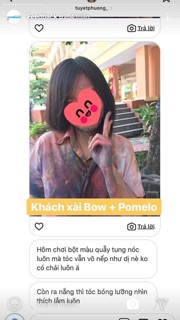 Ủ Bow Thảo Mộc