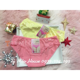 🐰Quần chíp xinh Cotton🐰