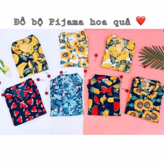 Sỉ 30b pizama hoa quả đi biển