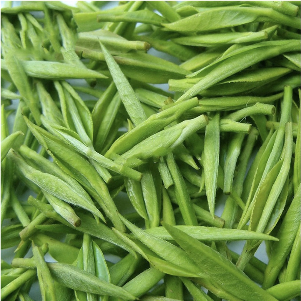 Trà Tân Cương Thái Nguyên loại Thượng Hạng - Nước xanh, hậu ngọt, trà búp Tân Cương